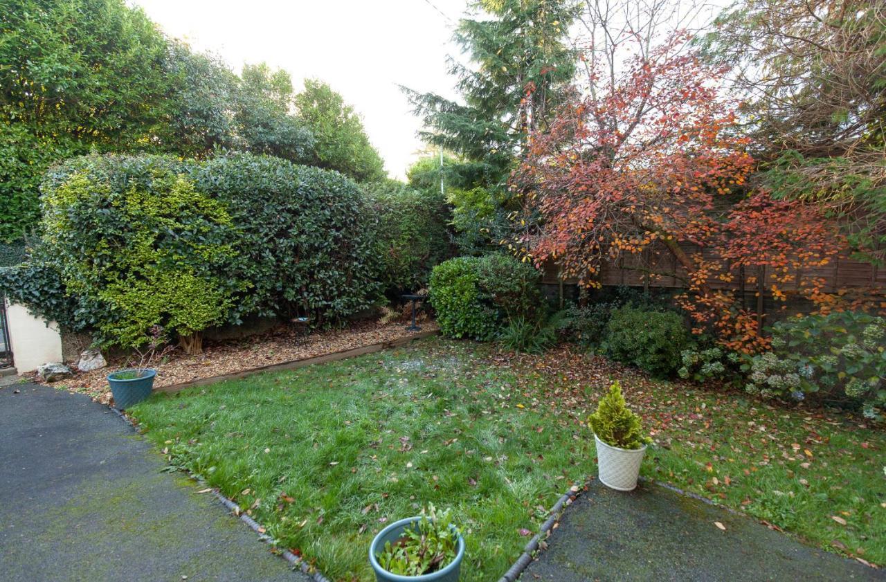 Bodwyn Country Cottage North Wales **By Seren Property** Dolgellau Εξωτερικό φωτογραφία